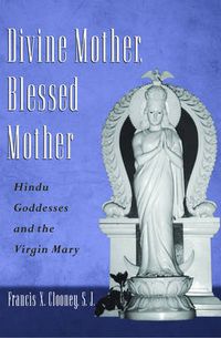 Cover image for Divine Mother, Blessed Mother: Hindu Goddesses and the Virgin Mary