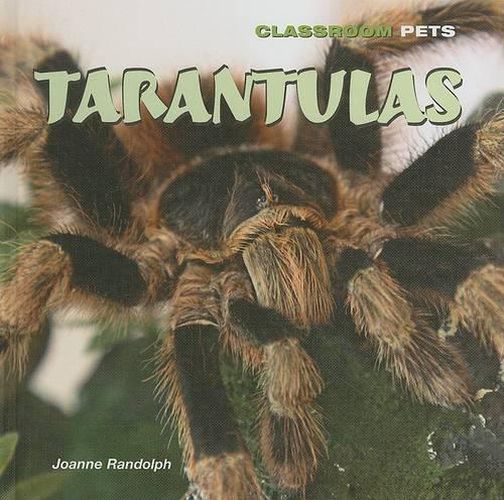 Cover image for Tarantulas