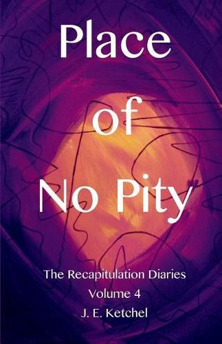 Cover image for Place of No Pity