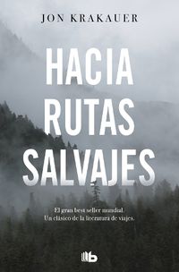 Cover image for Hacia rutas salvajes / Into the Wild