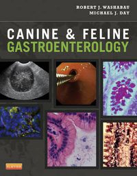 Cover image for Canine and Feline Gastroenterology