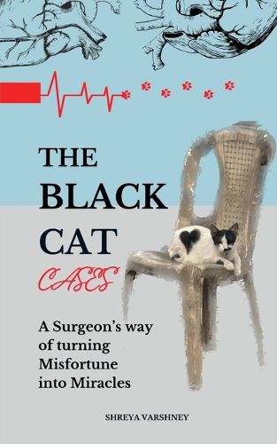 Cover image for The Black Cat Cases