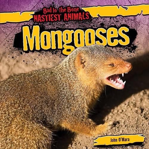 Cover image for Mongooses