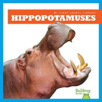 Cover image for Hippopotamuses