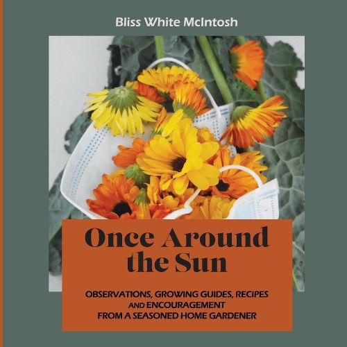 Cover image for Once Around the Sun