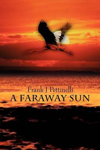 Cover image for A Faraway Sun