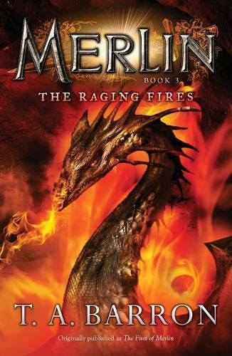 Cover image for The Raging Fires: Book 3