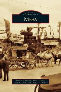 Cover image for Mesa
