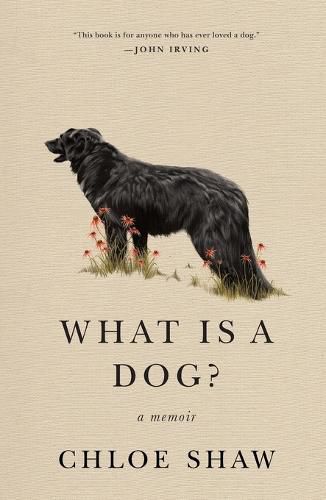 Cover image for What Is a Dog?: A Memoir