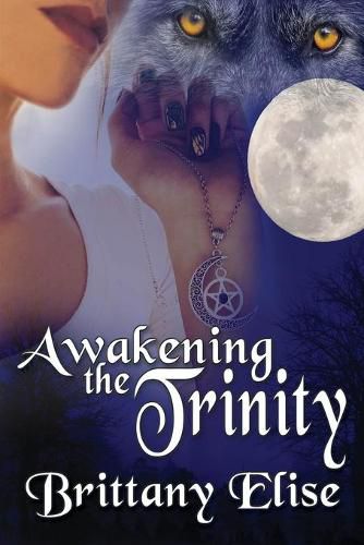 Cover image for Awakening the Trinity