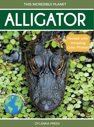 Cover image for Alligator