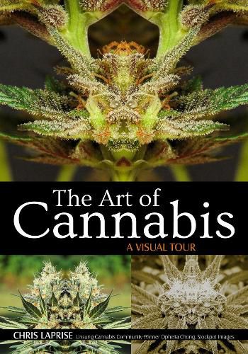 Cover image for The Art Of Cannabis: A Visual Tour