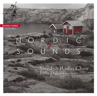Cover image for Nordic Sounds 2