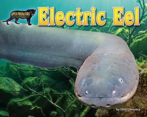 Cover image for Electric Eel