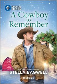 Cover image for A Cowboy to Remember