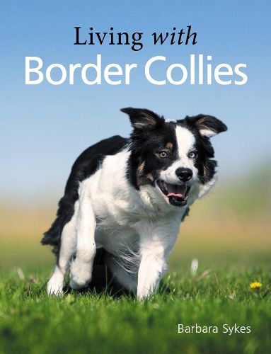 Cover image for Living with Border Collies