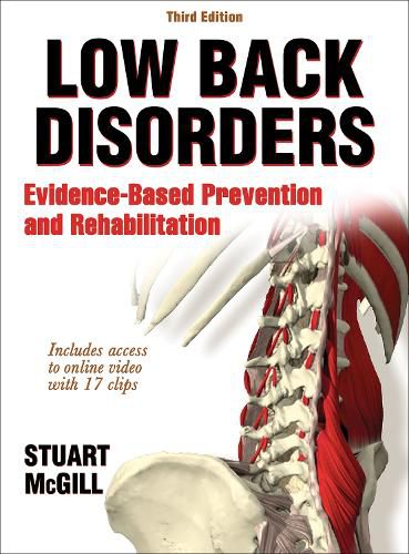 Cover image for Low Back Disorders: Evidence-Based Prevention and Rehabilitation