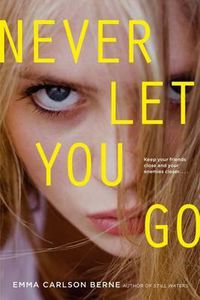 Cover image for Never Let You Go