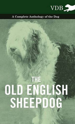 Cover image for The Old English SheepDog A Complete Anthology of the Dog