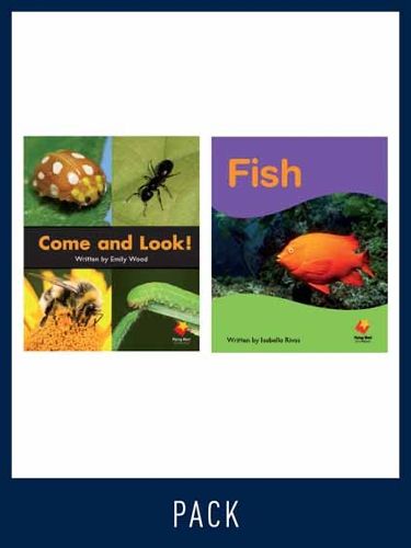 Cover image for Flying Start Guided Reading Level 2, Pack 12: Paired student books (6x6), vocabulary starter (1) and lesson plan (1)