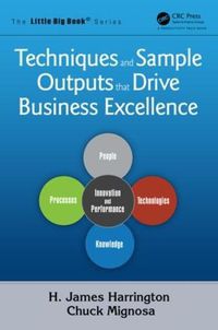 Cover image for Techniques and Sample Outputs that Drive Business Excellence