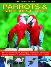 Cover image for Exploring Nature: Parrots & Rainforest Birds