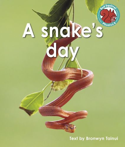 Cover image for A snake's day