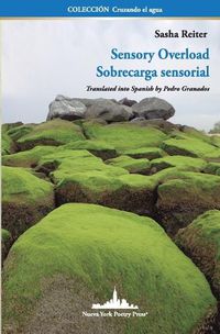 Cover image for Sensory Overload: Sobrecarga Sensorial (Bilingual edition)