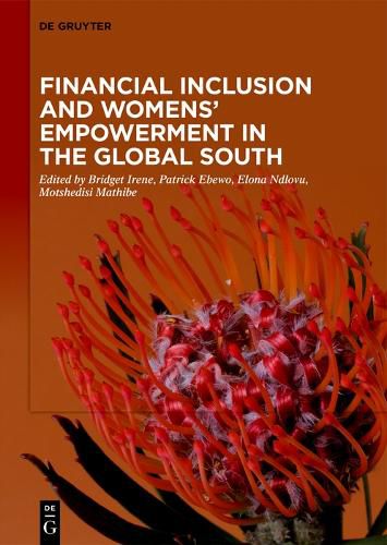 Cover image for Financial Inclusion and Womens' Empowerment in the Global South
