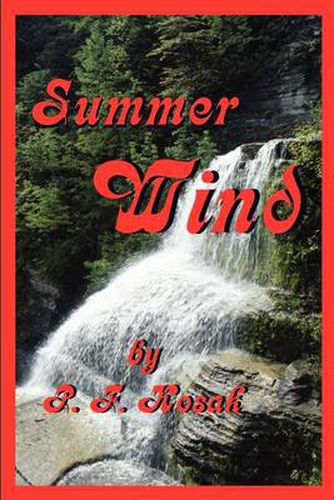 Cover image for Summer Wind