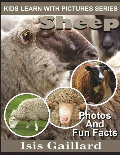 Cover image for Sheep: Photos and Fun Facts for Kids