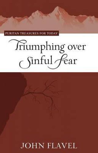 Cover image for Triumphing Over Sinful Fear