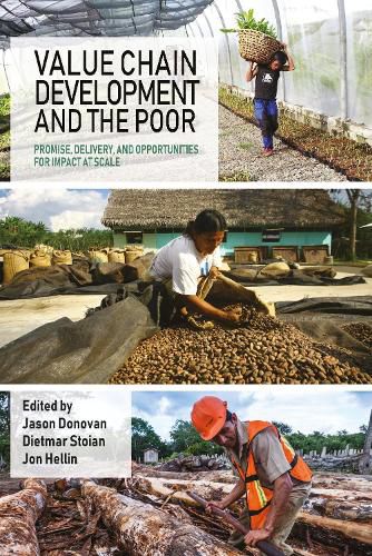 Value Chain Development and the Poor: Promise, delivery, and opportunities for impact at scale