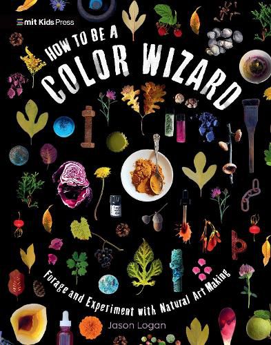 Cover image for How to Be a Color Wizard: Forage and Experiment with Natural Art Making