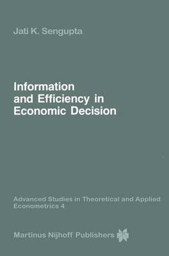 Cover image for Information and Efficiency in Economic Decision