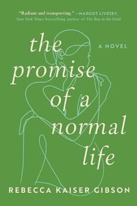 Cover image for The Promise of a Normal Life: A Novel