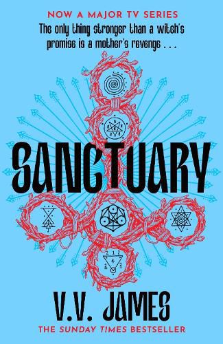 Cover image for Sanctuary: The SUNDAY TIMES bestseller soon to be a major TV series