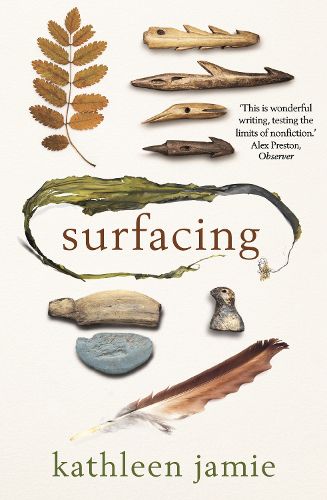 Cover image for Surfacing