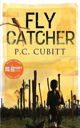 Cover image for Fly Catcher