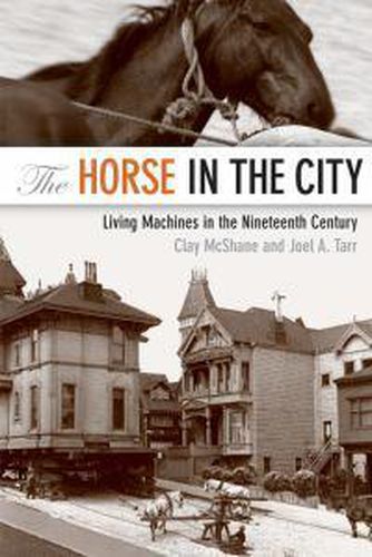 Cover image for The Horse in the City: Living Machines in the Nineteenth Century