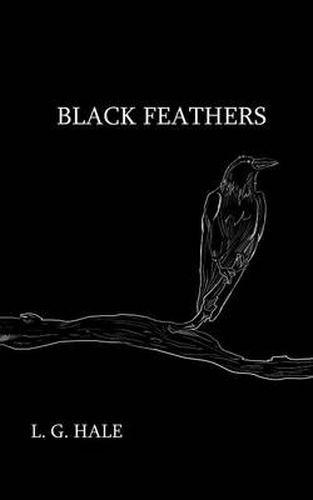 Cover image for Black Feathers