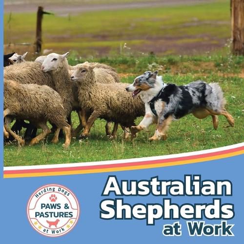 Australian Shepherds at Work