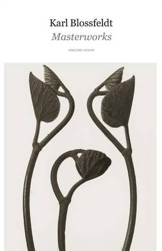 Cover image for Karl Blossfeldt: Masterworks