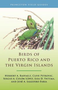 Cover image for Birds of Puerto Rico and the Virgin Islands: Fully Revised and Updated Third Edition