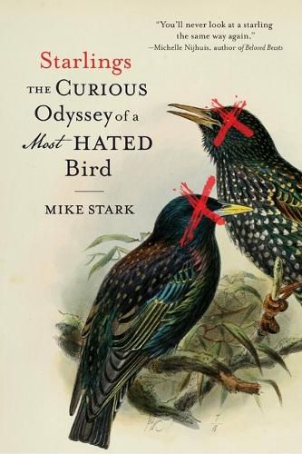 Cover image for Starlings