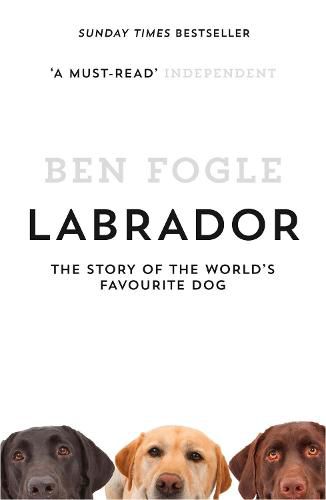 Cover image for Labrador: The Story of the World's Favourite Dog