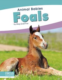 Cover image for Animal Babies: Foals