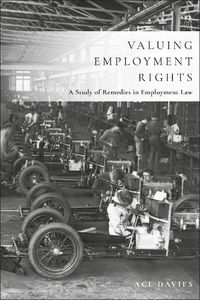 Cover image for Valuing Employment Rights