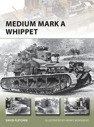 Cover image for Medium Mark A Whippet