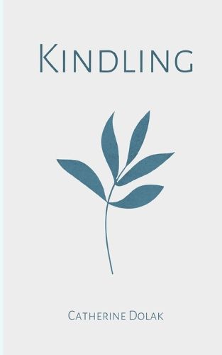 Cover image for Kindling